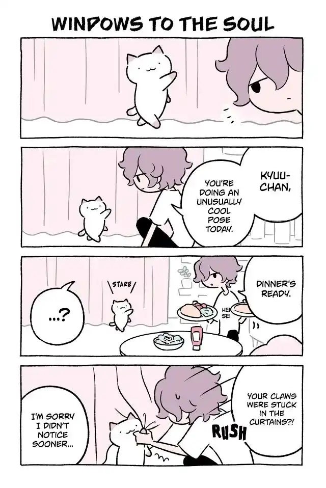 Wonder Cat Kyuu-chan Chapter 344 1